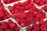 Польские производители малины пожаловались на убытки из-за украинских ягод