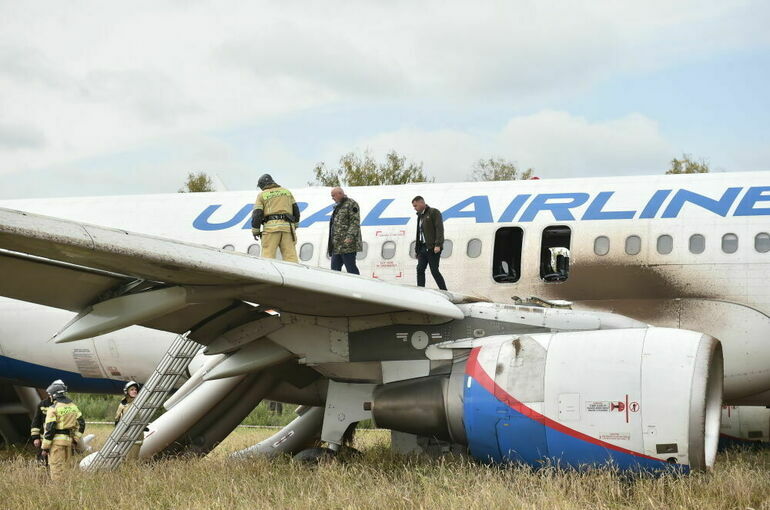 Следствие изъяло черные ящики самолета, экстренно севшего под Новосибирском