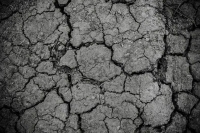 Синоптик предупредил россиян о грядущей засухе и ее последствиях