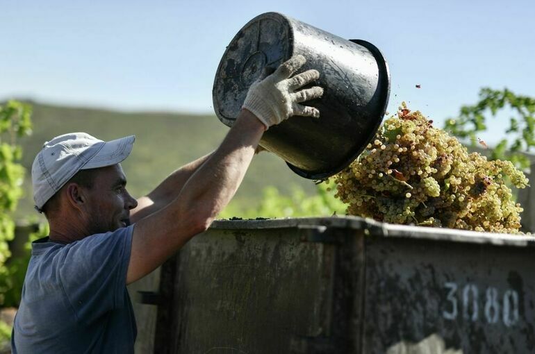 В Крыму собирают урожай, закладывают сады и виноградники и покупают сельхозтехнику