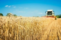 Патрушев сообщил о ключевых перспективных задачах сельскохозяйственной отрасли