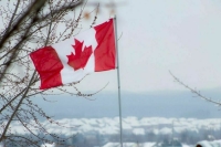 В парламенте Канады согласились «отозвать» почести, оказанные украинскому эсэсовцу 