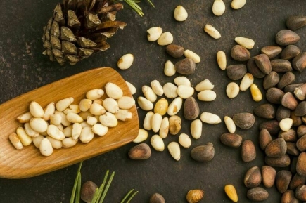 Как заготавливать кедровые орехи, если ты не рябчик и не белка