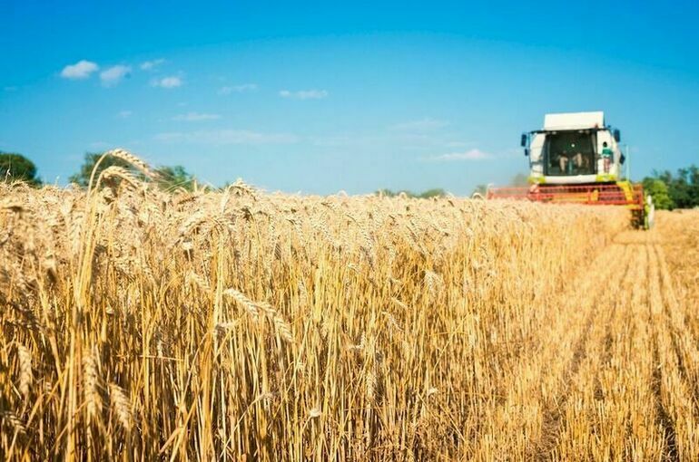 Лисовский назвал последствия низкой конкуренции среди трейдеров на рынке зерна