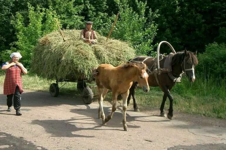 Участники проекта «Опорный фермер» получат дополнительную господдержку