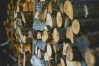 Западные страны выделят Украине больше $70 млн на закупку дров