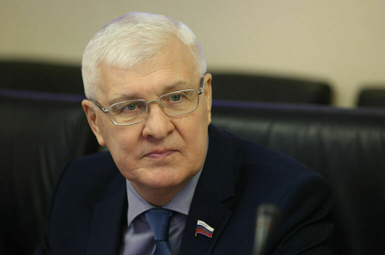 Брилка переизбран представителем Совфеда по взаимодействию с омбудсменом РФ