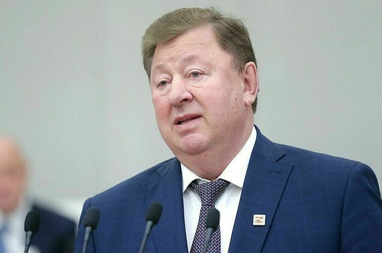 Кашин призвал вернуть в бюджет финансирование капексов