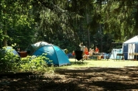 Вожатых палаточных лагерей предлагают готовить по спецпрограммам