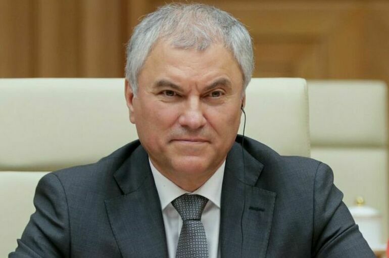 Володин предложил вьетнамским компаниям активней приходить на российский рынок