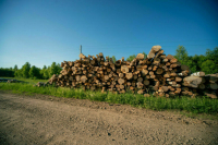 В Госдуме разработают закон, упрощающий инвестиции в лесную отрасль