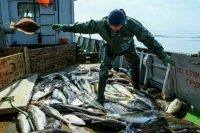 Рыбаки быстрее получат деньги на обновление флота