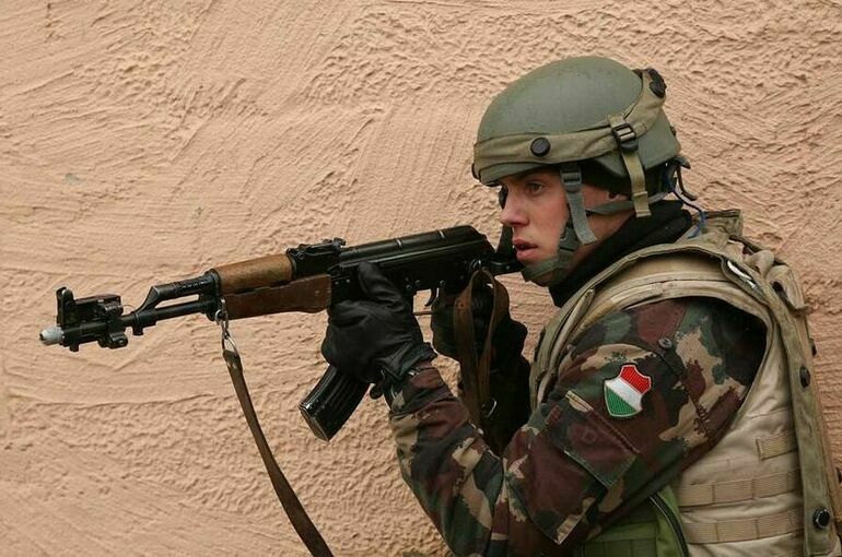 Венгрия планирует направить военную миссию в Чад