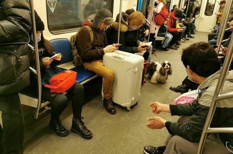 Проезд в метро в России за неделю в среднем подорожал почти на 7%