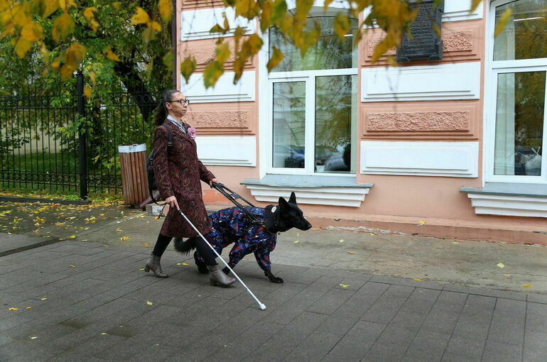 Депутаты Заксобрания Красноярского края подготовили законопроект о выплате на содержание собак­-проводников