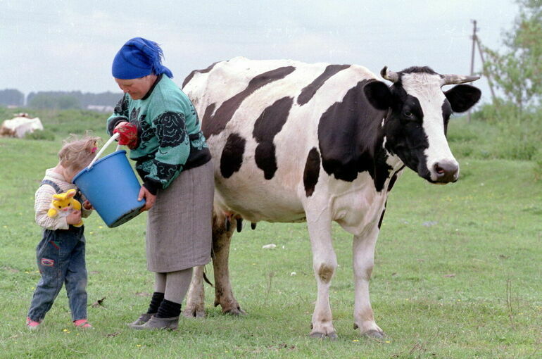 В Госдуме обеспокоены нехваткой российского молока и овощей