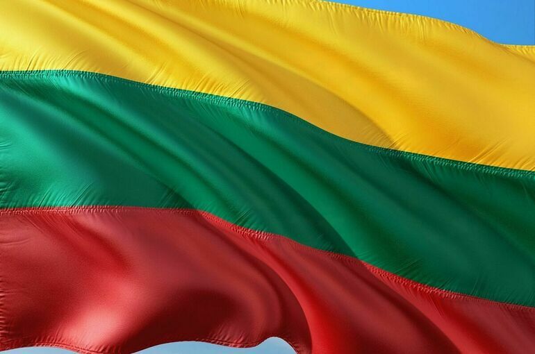 Литва призвала запретить экспорт в РФ швейных игл, гвоздей и обогревателей