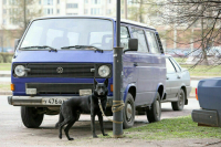 Власти Севастополя смогут выписать штраф за неправильную парковку