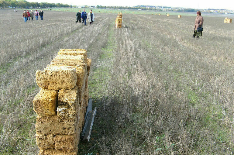 В Росреестре предложили снять барьеры для ввода земель в оборот