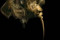 Использование немаркированных изделий с нагреваемым табаком предложили ограничить