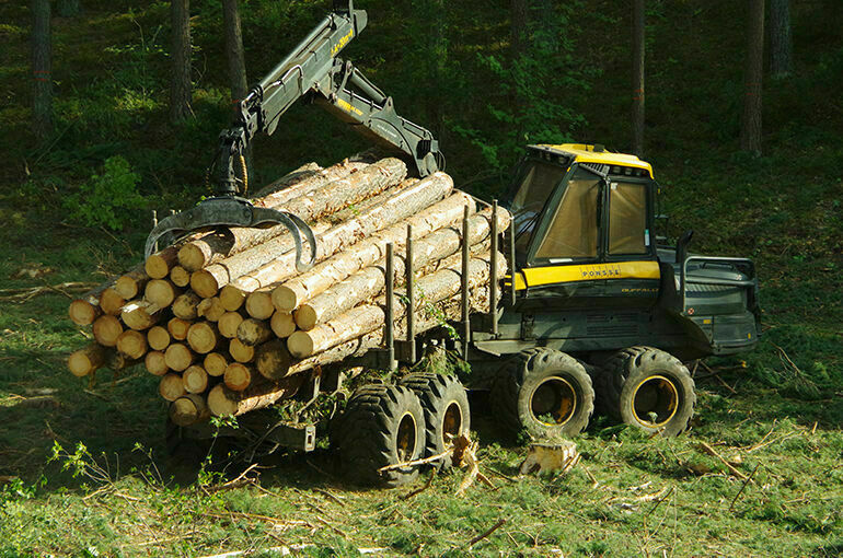За перевозку древесины без сопроводительного документа предложили штрафовать