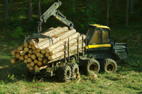 За перевозку древесины без сопроводительного документа предложили штрафовать