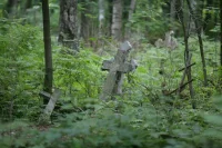 Население России сократилось на 352 тысячи человек за девять месяцев