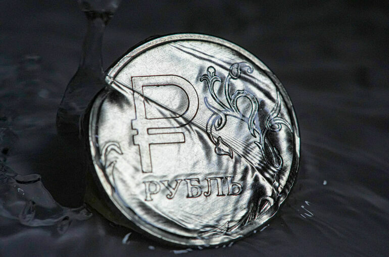 От связанных с курсом рубля пошлин хотят освободить партии товаров до €200