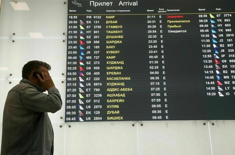 Самолет с эвакуированными из сектора Газа россиянами прилетел в Москву
