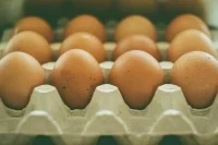 ФАС проанализирует ценообразование на куриные яйца
