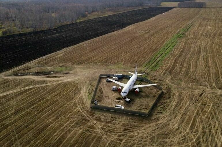 Росавиация: Расследование инцидента с севшим на поле самолетом продолжается