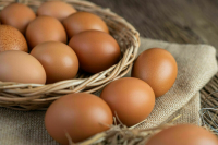 В Росптицесоюзе объяснили, почему дорожают яйца