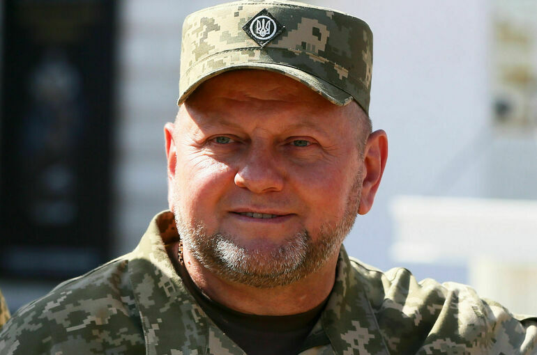 Украинский генерал призвал уволить главнокомандующего ВСУ Залужного