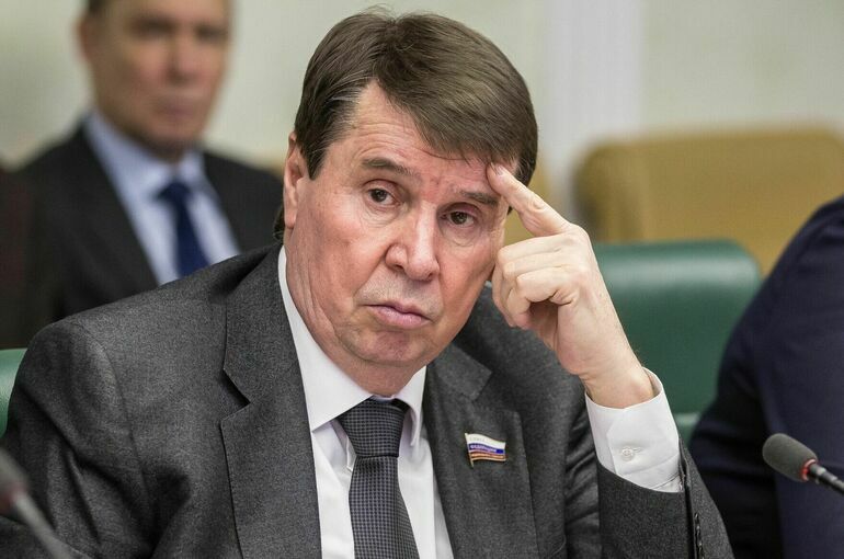 Сенатор Цеков: Военный конфликт на Украине закончится на условиях России
