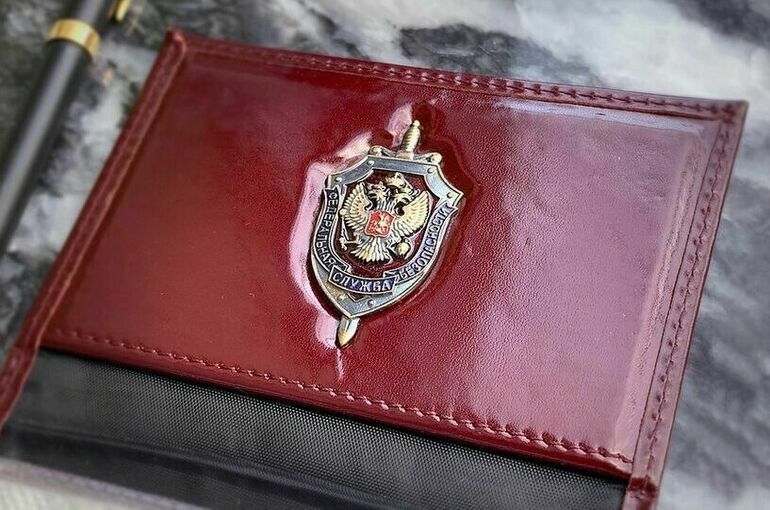 ФСБ задержала жителя Феодосии по подозрению в госизмене