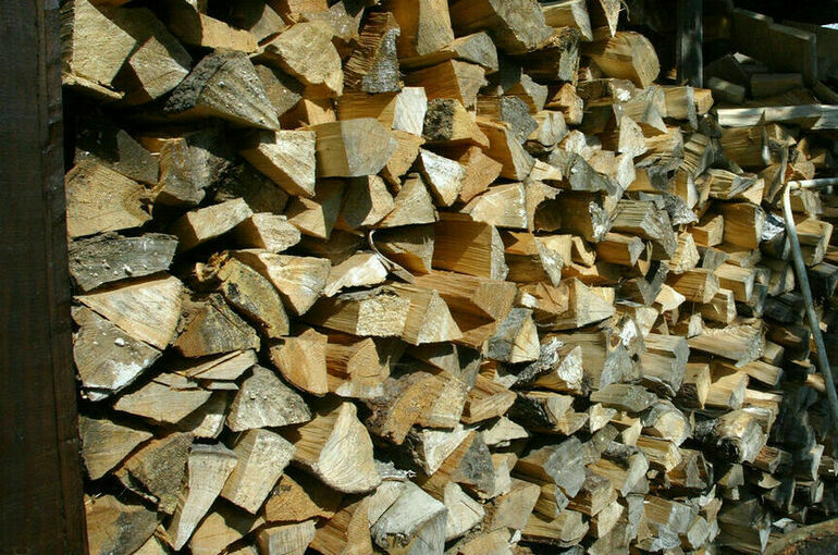 Генпрокуратура проверит сведения о росте цен на дрова