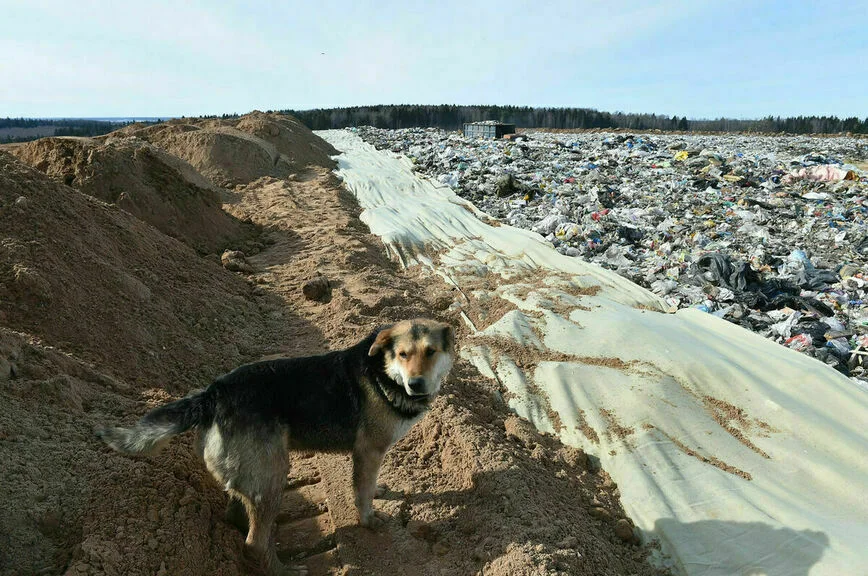 Законы, вступающие в силу в декабре