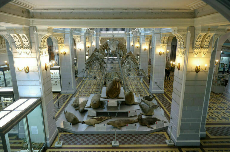 Защита музейных ценностей станет надежнее