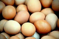 ФАС призвала торговые сети ограничить наценку на яйца