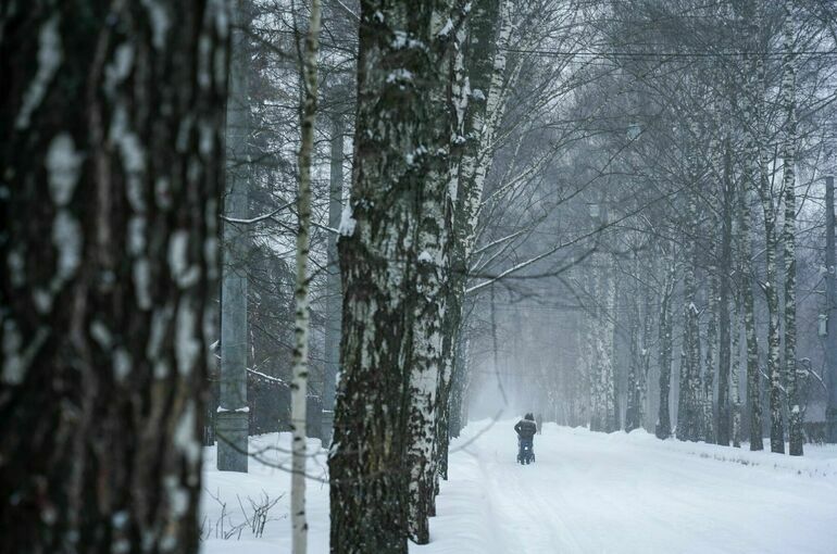 Москвичей предупредили о надвигающихся 20-градусных морозах