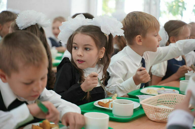 Госдума направила в Роспотребнадзор запрос о школьном питании