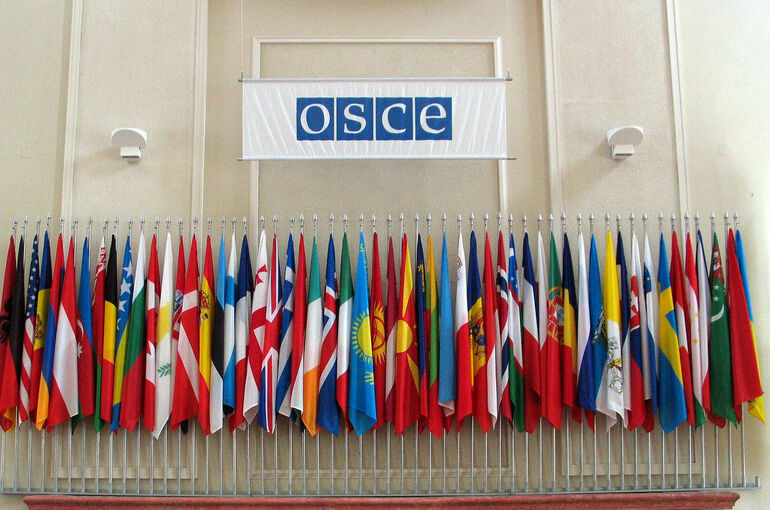 В ОБСЕ заявили, что дискуссия об исключении России из организации исчерпана