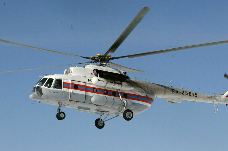 В Москву доставили на вертолете двоих пострадавших при стрельбе в брянской школе