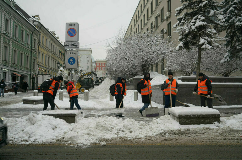 Квоты на мигрантов распределили между рабочими и натурщиками