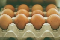 В Минсельхозе придумали, как снизить цены на яйца
