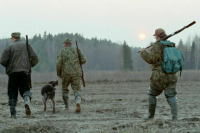 Комитет Совфеда поддержал введение проверки знаний потенциальных охотников