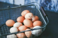 Кабмин поддержал отмену таможенной пошлины на ввоз импортных яиц