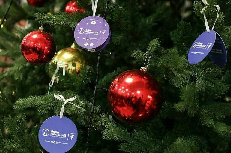 В Госдуме стартовала акция «Елка желаний»