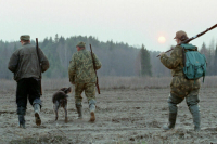 Совфед одобрил закон об охотничьем минимуме