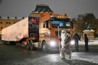 Главную новогоднюю елку доставили в Кремль